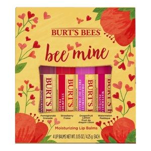 BURT’S BEES ‘Bee Mine’ 4-Piece Moisturizing Lip Balm Set - NIB